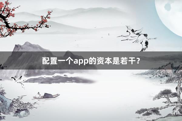 配置一个app的资本是若干？